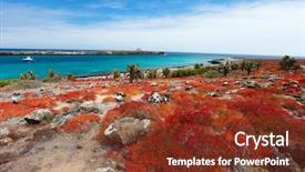 Presentation with island - Slide deck featuring landscape of galapagos south plaza background and a tawny brown colored foreground