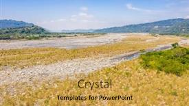  Presentation with golden - Cool new slides with landscape-of-golden-miscanthus backdrop and a yellow colored foreground