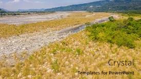  Presentation with golden - Audience pleasing PPT layouts consisting of landscape-of-golden-miscanthus backdrop and a yellow colored foreground