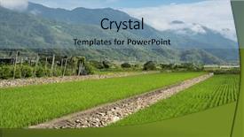 Presentation with farm - Amazing PPT layouts having landscape of green paddy farm backdrop and a  colored foreground