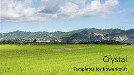  Presentation with green agriculture farm - Cool new slides with landscape of green paddy farm backdrop and a  colored foreground