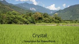  Presentation with green agriculture farm - Presentation theme with landscape of green paddy farm background and a  colored foreground