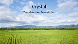  Presentation with green agriculture farm - Slide set featuring landscape of green paddy farm background and a  colored foreground