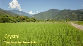  Presentation with farm - Cool new slide deck with landscape of green paddy farm backdrop and a  colored foreground