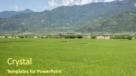  Presentation with farm - Audience pleasing slide set consisting of landscape of green paddy farm backdrop and a  colored foreground