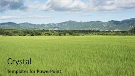  Presentation with green agriculture farm - PPT theme featuring landscape of green paddy farm background and a  colored foreground