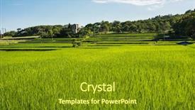  Presentation with crop - Amazing PPT theme having landscape of green paddy farm backdrop and a  colored foreground