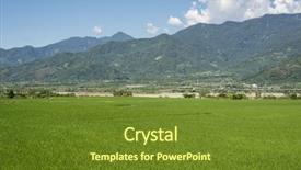  Presentation with green agriculture farm - PPT layouts consisting of landscape of green paddy farm background and a  colored foreground