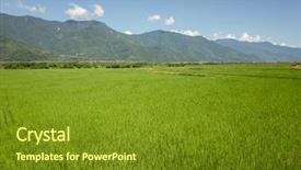  Presentation with farm - Theme consisting of landscape of green paddy farm background and a  colored foreground