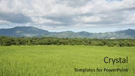  Presentation with rural india paddy field green - Theme having landscape of green paddy farm background and a gold colored foreground