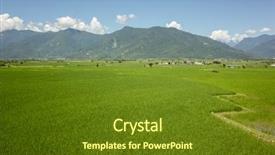  Presentation with green agriculture farm - Cool new theme with landscape of green paddy farm backdrop and a tawny brown colored foreground