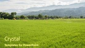  Presentation with scenery - Slide deck featuring landscape of green paddy farm background and a  colored foreground