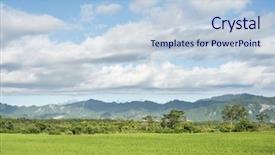  Presentation with rural india paddy field green - Colorful PPT theme enhanced with landscape of green paddy farm backdrop and a  colored foreground