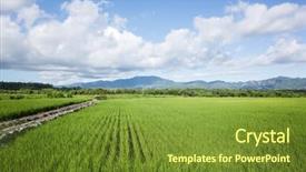  Presentation with green agriculture farm - Amazing slide deck having landscape of green paddy farm backdrop and a  colored foreground