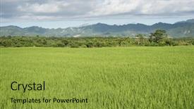  Presentation with farm - Presentation design featuring landscape of green paddy farm background and a  colored foreground
