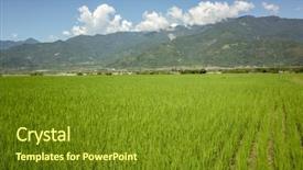  Presentation with farm - Beautiful PPT layouts featuring landscape of green paddy farm backdrop and a  colored foreground