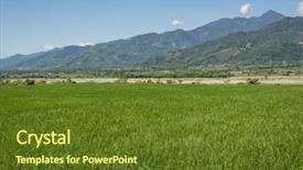  Presentation with farm - Presentation theme with landscape of green paddy farm background and a tawny brown colored foreground