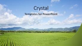  Presentation with rice paddy - Slide set consisting of landscape of green paddy farm background and a light blue colored foreground