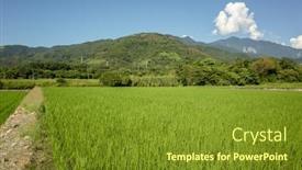  Presentation with farm - Slide set enhanced with landscape-of-green-paddy-farm background and a tawny brown colored foreground