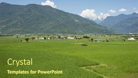  Presentation with green agriculture farm - PPT theme consisting of landscape-of-green-paddy-farm background and a tawny brown colored foreground
