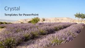  Presentation with cappadocia - PPT theme with landscape-of-lavender-field background and a light blue colored foreground
