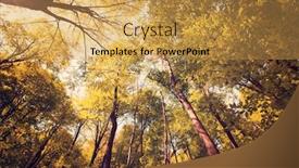  Presentation with poland - Colorful PPT theme enhanced with acer - landscape of mountains in bieszczady backdrop and a yellow colored foreground