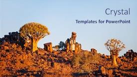  Presentation with tree - Presentation theme with landscape-of-quiver-tree-forest background and a sky blue colored foreground