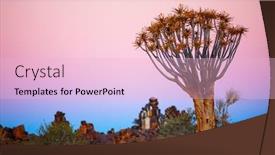  Presentation with tree - Audience pleasing presentation theme consisting of landscape-of-quiver-tree-forest backdrop and a lemonade colored foreground