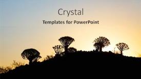  Presentation with tree - Cool new presentation design with landscape-of-quiver-tree-forest backdrop and a lemonade colored foreground