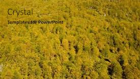  Presentation with norway - Slides having landscape-of-southern-vestlandet-norway background and a gold colored foreground