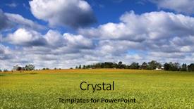  Presentation with soy bean - PPT theme consisting of landscape of soy bean fields background and a gold colored foreground