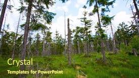  Presentation with mountains - Presentation design consisting of landscape-of-table-mountains-stolowe background and a tawny brown colored foreground