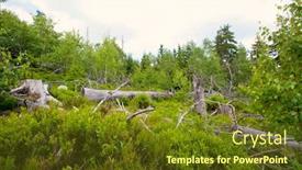  Presentation with mountains - Slide set with landscape-of-table-mountains-stolowe background and a tawny brown colored foreground