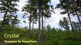  Presentation with mountains - Colorful presentation design enhanced with landscape-of-table-mountains-stolowe backdrop and a tawny brown colored foreground