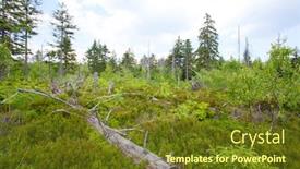  Presentation with mountains - PPT theme having landscape-of-table-mountains-stolowe background and a tawny brown colored foreground