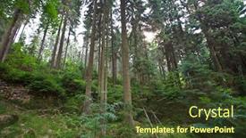  Presentation with mountains - Audience pleasing slide set consisting of landscape-of-table-mountains-stolowe backdrop and a tawny brown colored foreground