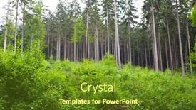  Presentation with mountains - Slide set enhanced with landscape-of-table-mountains-stolowe background and a tawny brown colored foreground