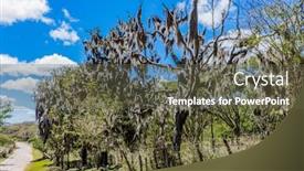  Presentation with natural - Presentation design consisting of landscape-of-the-miraflor-natural background and a tawny brown colored foreground