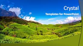  Presentation with kerala - Audience pleasing PPT theme consisting of landscape of the tea plantations backdrop and a gray colored foreground