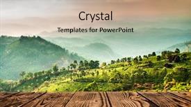  Presentation with tea plantation - PPT theme enhanced with landscape of the tea plantations background and a mint green colored foreground