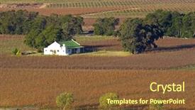  Presentation with cape town south africa - Presentation theme with sits embracing the big dog background and a tawny brown colored foreground.