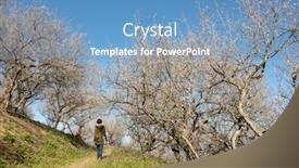  Presentation with plum blossom - Audience pleasing PPT layouts consisting of landscape-of-white-plum-blossom backdrop and a teal colored foreground