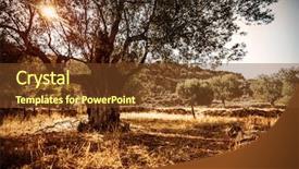  Presentation with agriculture olive oil - Amazing presentation theme having landscape olives cultivation olive oil backdrop and a tawny brown colored foreground