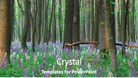  Presentation with first - Cool new PPT layouts with landscape panorama the first flowers backdrop and a ocean colored foreground