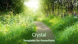  Presentation with deep - PPT theme having landscape plants - way in deep forest background and a forest green colored foreground