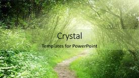  Presentation with deep - Audience pleasing PPT theme consisting of landscape plants - way in deep forest backdrop and a yellow colored foreground