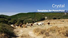  Presentation with green power - Slides having landscape-showing-environment-friendly-land background and a teal colored foreground