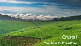  Presentation with uganda - Beautiful PPT theme featuring landscape tea plantation in uganda backdrop and a tawny brown colored foreground