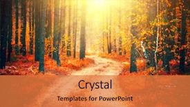 Presentation with nature sun trees - Colorful PPT theme enhanced with landscape trees and leaves forest backdrop and a coral colored foreground