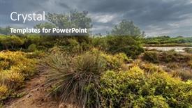  Presentation with gloomy - Amazing presentation theme having landscape-under-gloomy-sky-es backdrop and a gray colored foreground